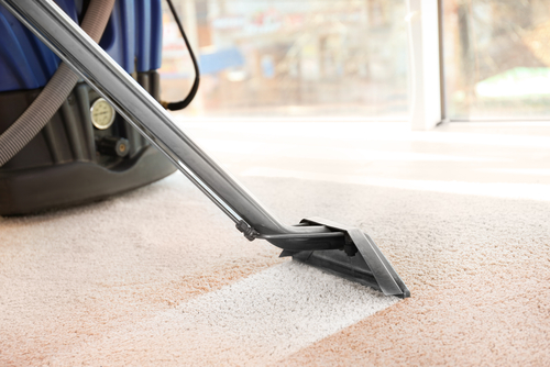 What Carpet Cleaning Machine Is Best Bsolute Solutions