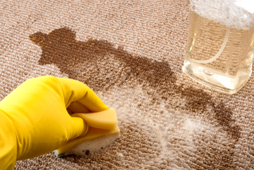 7 Tips On How To Clean Carpet Effectively