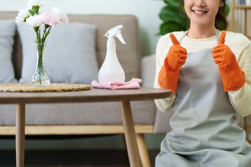 Professional Cleaning Service
