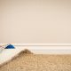 Preventing Mold and Mildew Growth in Carpets